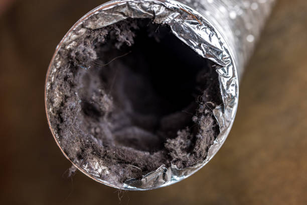 Best Professional Duct Cleaning Services  in Eastover, NC
