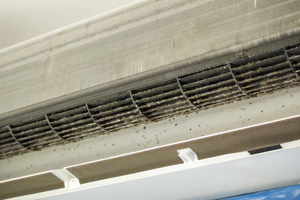 Best Air Quality Test  in Eastover, NC